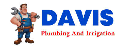 Trusted plumber in AGUA DULCE